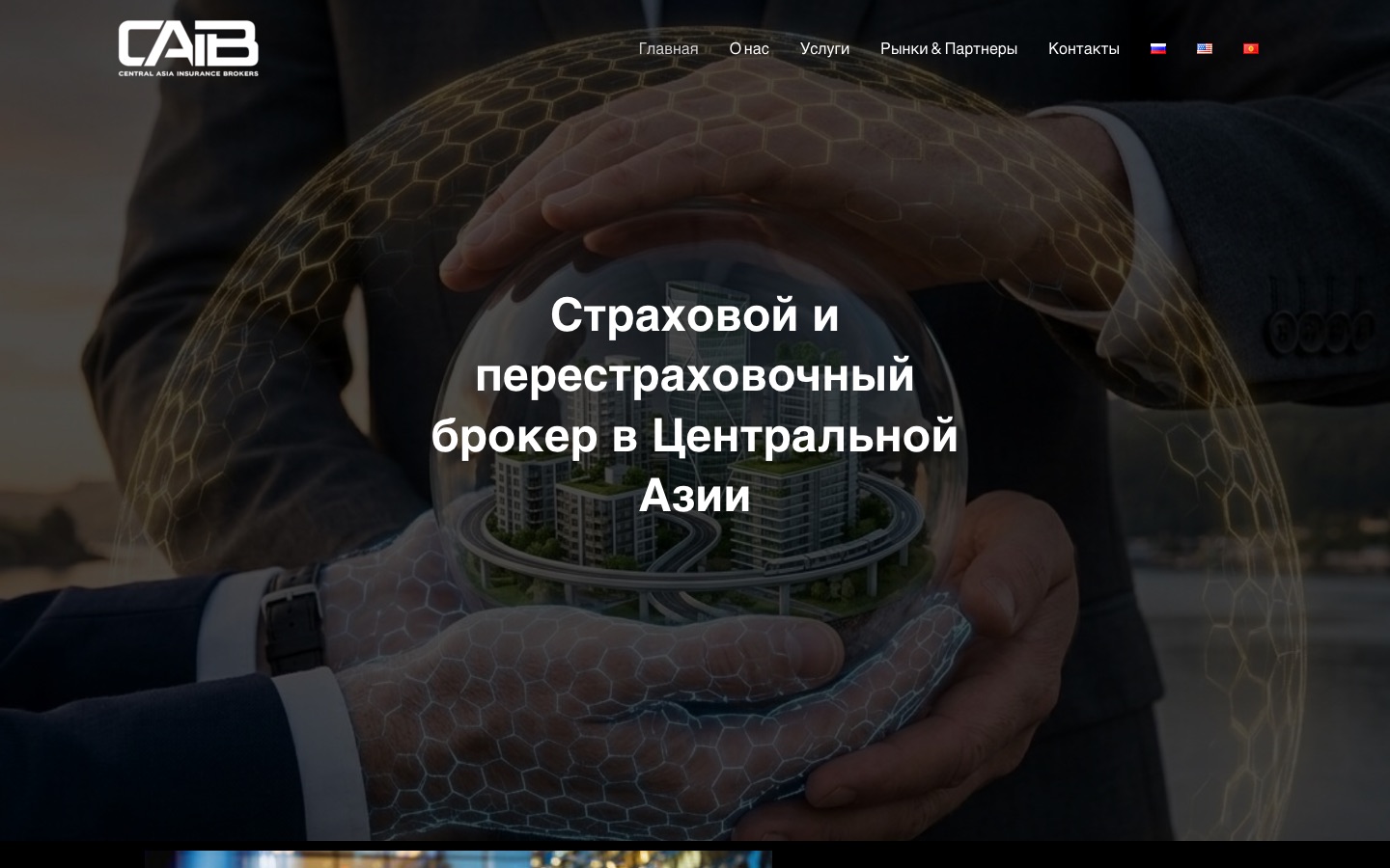 Screenshot of CAIB Asia website